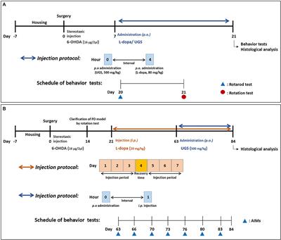 An Integrative Approach to Treat Parkinson's Disease: Ukgansan Complements L-Dopa by Ameliorating Dopaminergic Neuronal Damage and L-Dopa-Induced Dyskinesia in Mice